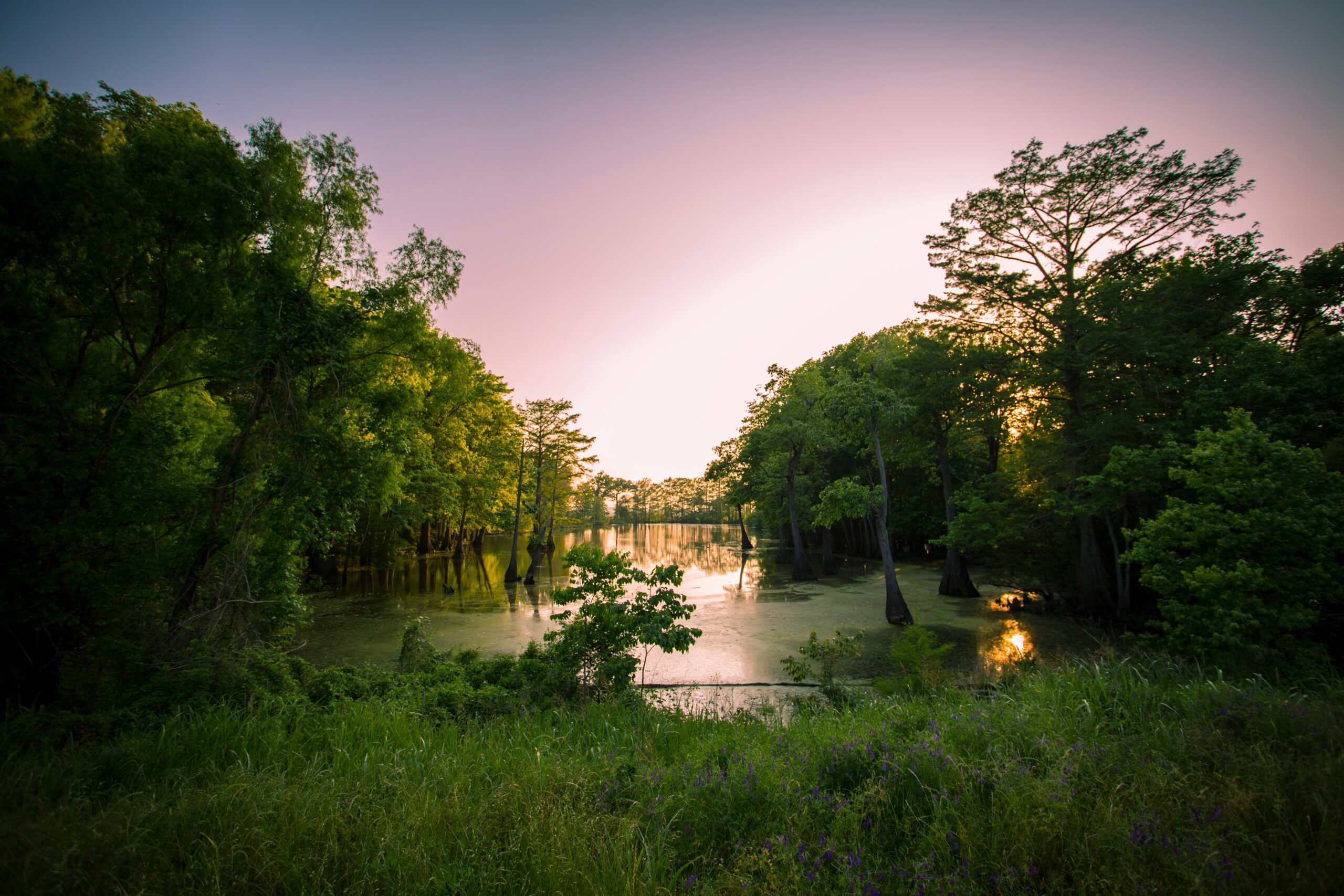 Fall in Jackson, Mississippi: A Stylish City Escape Filled With Books, Blues & Southern Soul